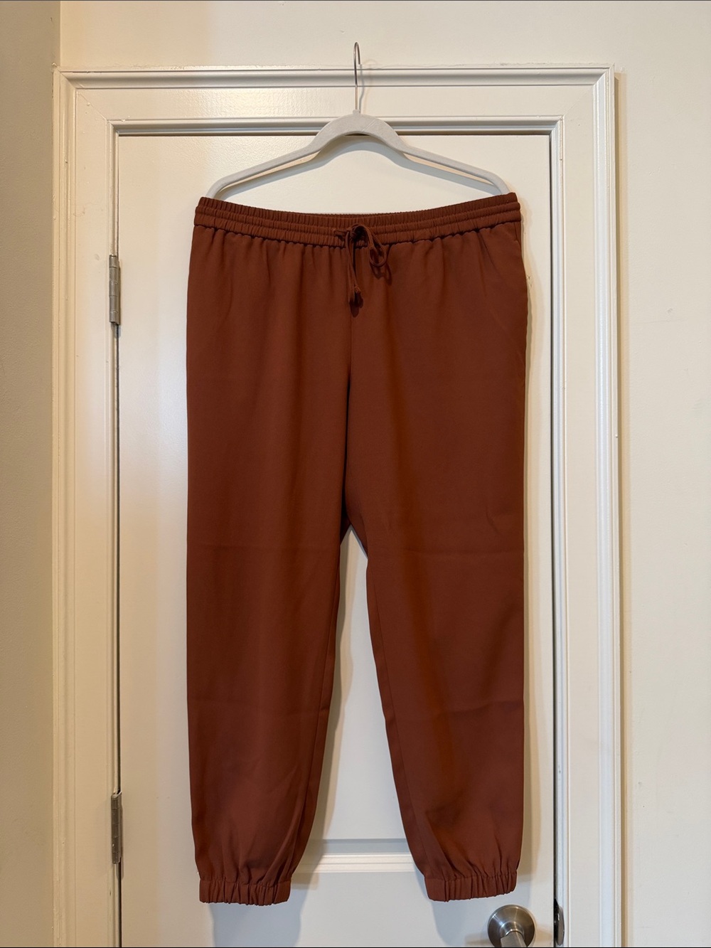 Express Dressy Drawstring Jogger Pants - Brick Brown